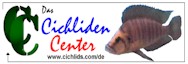 Cichlid Center